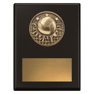 SP670 Challenge Plaque - Water Polo