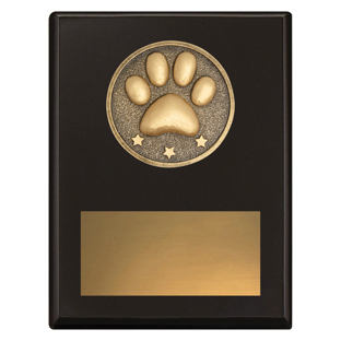 SP679 Challenge Plaque - Pet Appreciation
