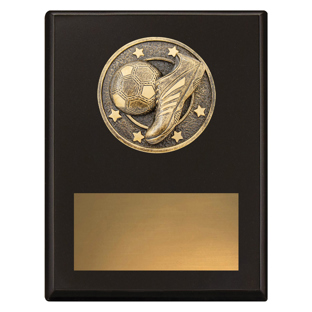 SP682 Challenge Plaque - Indoor / Futsal