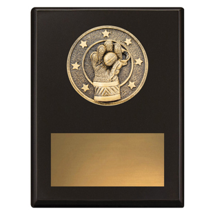 SP690 Challenge Plaque - Wicketkeeping