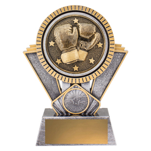 SR132 Spartan - Boxing