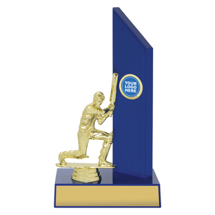 SUM14 Gloss Blue Wing