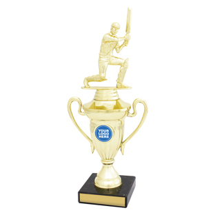 SUM18 Cricket Signal Cup