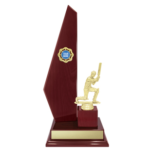 SUM31 Vintage Starboard