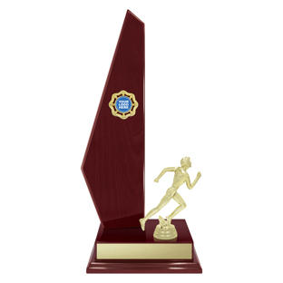 SUM92 Vintage Starboard