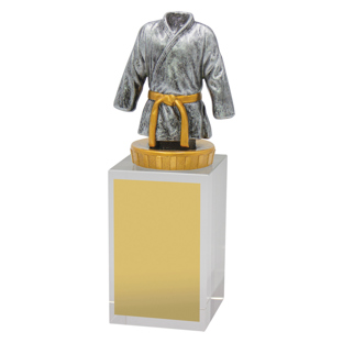 UB45 Martial Arts Budget Crystal