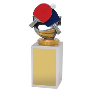 UB66 Table Tennis Budget Crystal