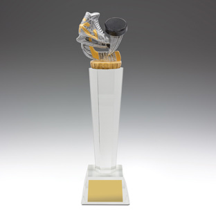 UC50 Ice Hockey Crystal