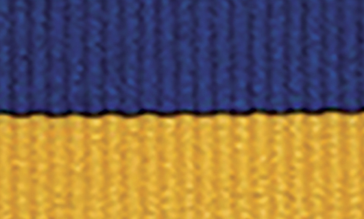 1065BU-G Blue / Gold Ribbon
