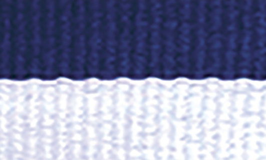 1065BU-WH Blue / White Ribbon