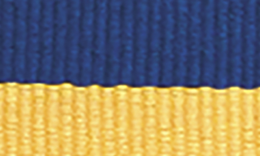 1065BU-Y Blue / Yellow Ribbon