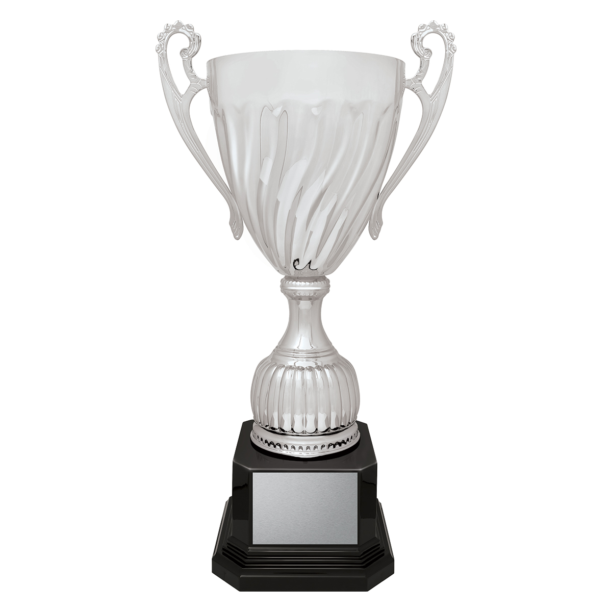 ASC02 Cruiser Cup - Silver