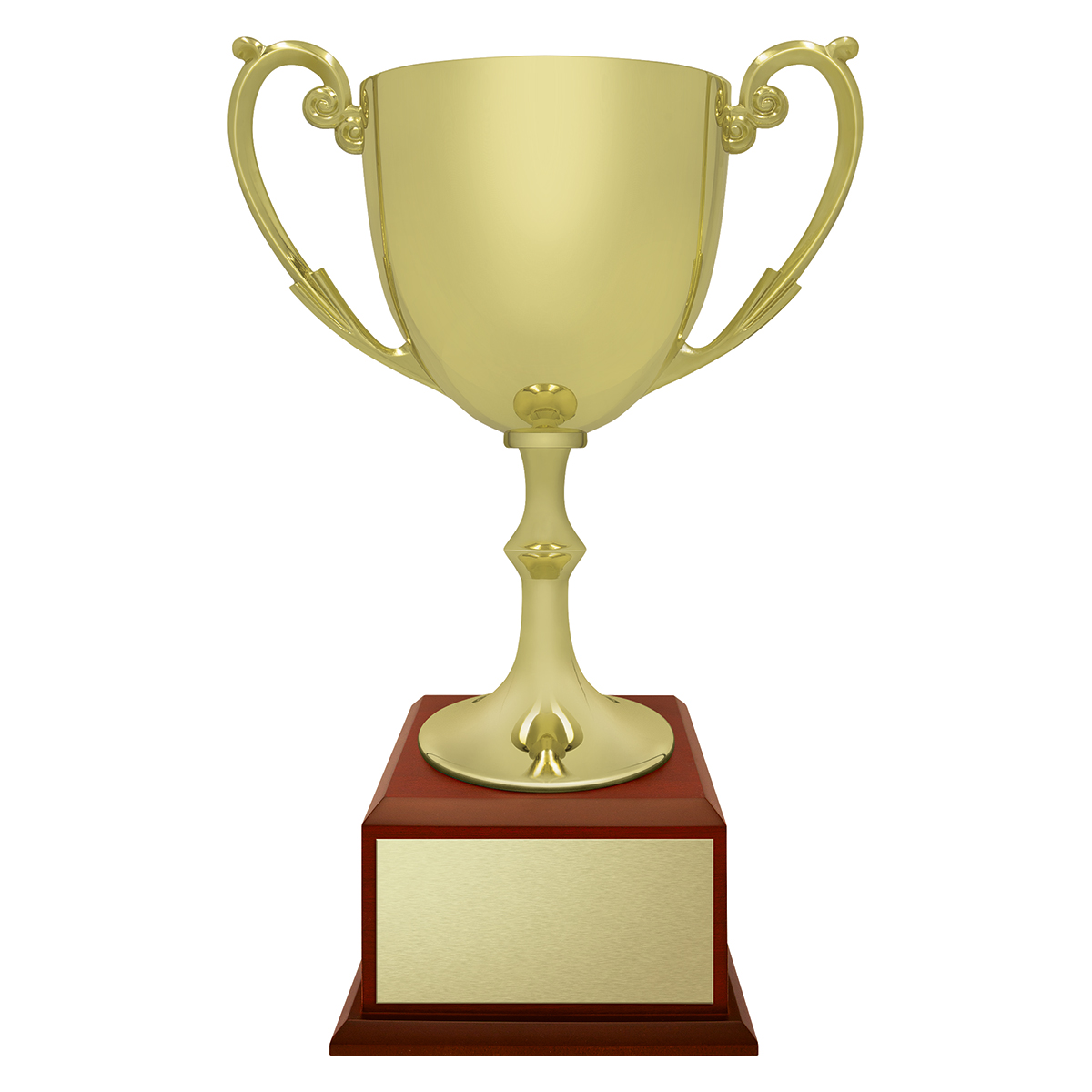 CUP287 Recognition - Timber Base