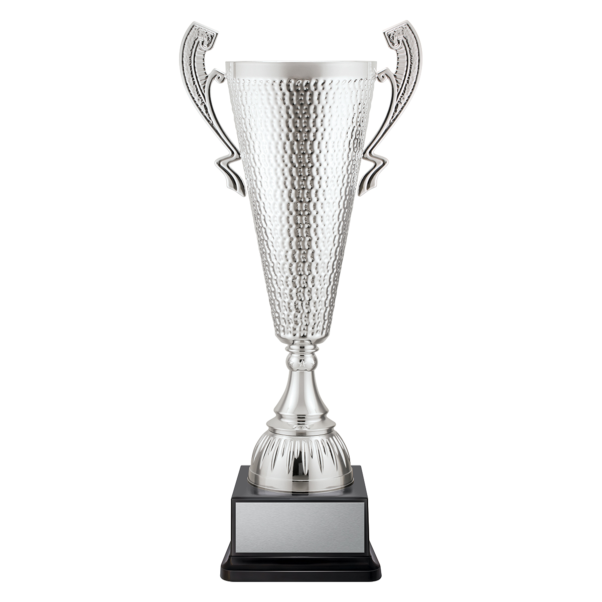 CUP291 Sentinel Cup